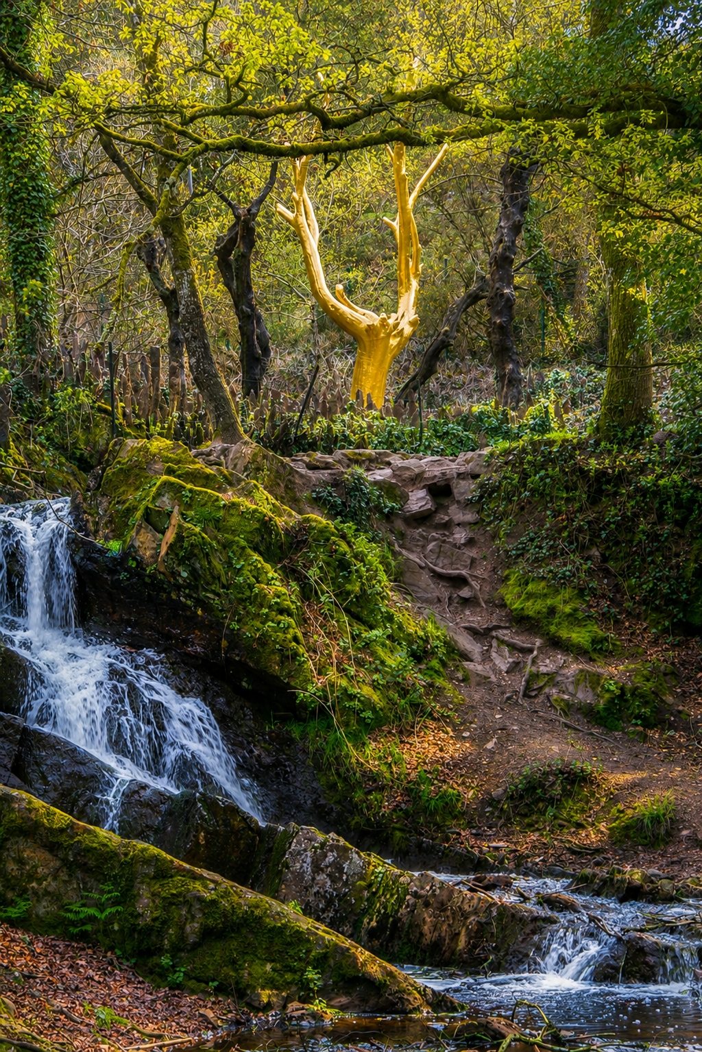 L'Arbre d'Or